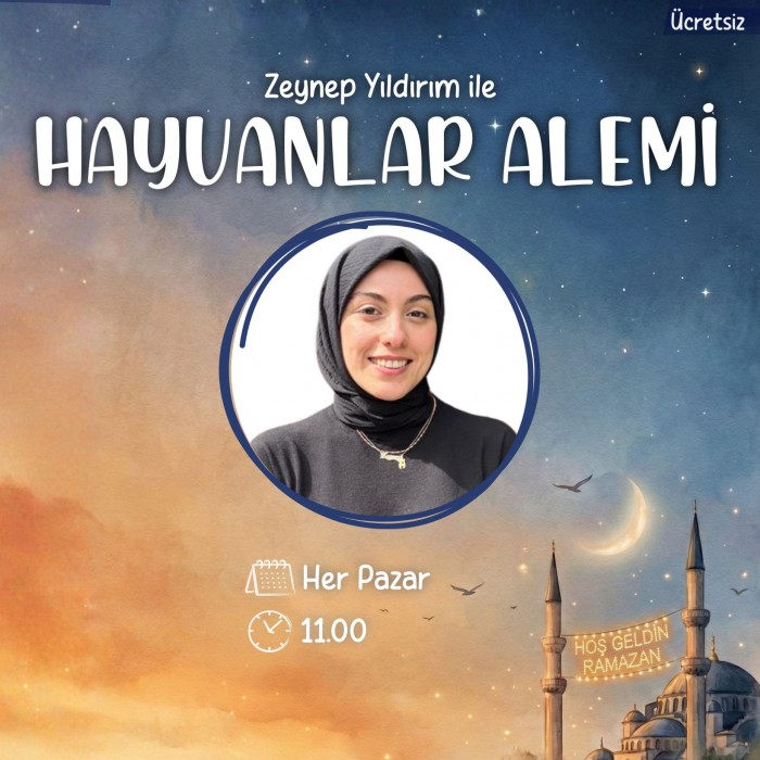 Hayvanlar Alemi  Atölyesi